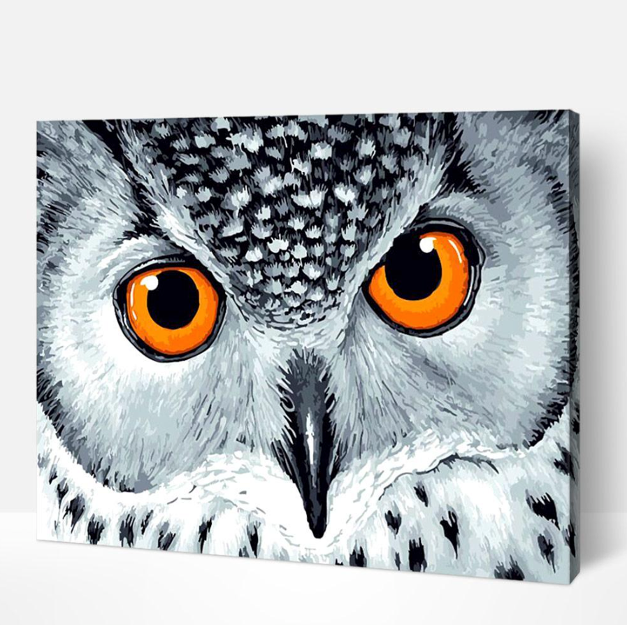 Owl Eyes ™ - diyartbyyou